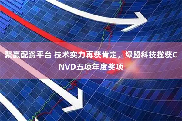 聚赢配资平台 技术实力再获肯定，绿盟科技揽获CNVD五项年度奖项